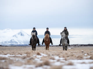 1,5h Trail Ride for All Levels, photo 8