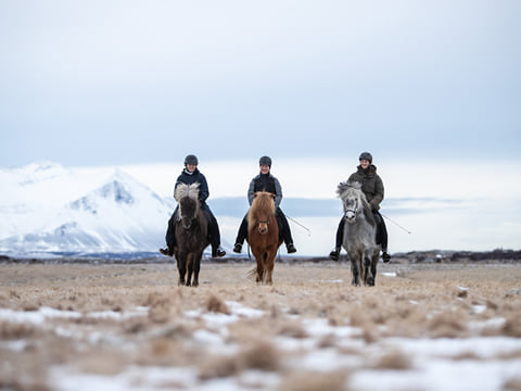 1,5h Trail Ride for All Levels, photo 8