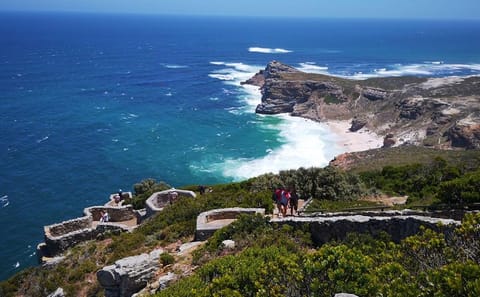 Private Tour of Cape of Good Hope, Penguins, and Kirstenbosch