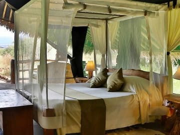 10-Day Private Big 5 Safari and Diani Beach Getaway