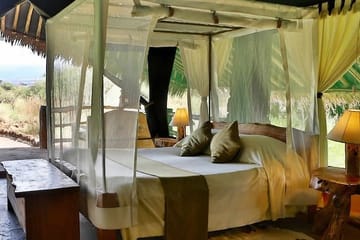 10-Day Private Big 5 Safari and Diani Beach Getaway