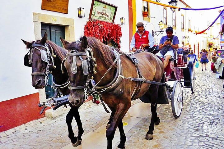Lisbon to Porto with stops Aveiro-Fátima-Coimbra-Tomar-Nazaré-Óbidos