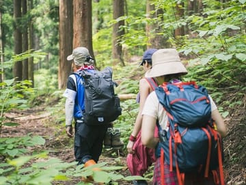 Bach Ma National Park trekking daily tour from Hue - SMALL GROUP