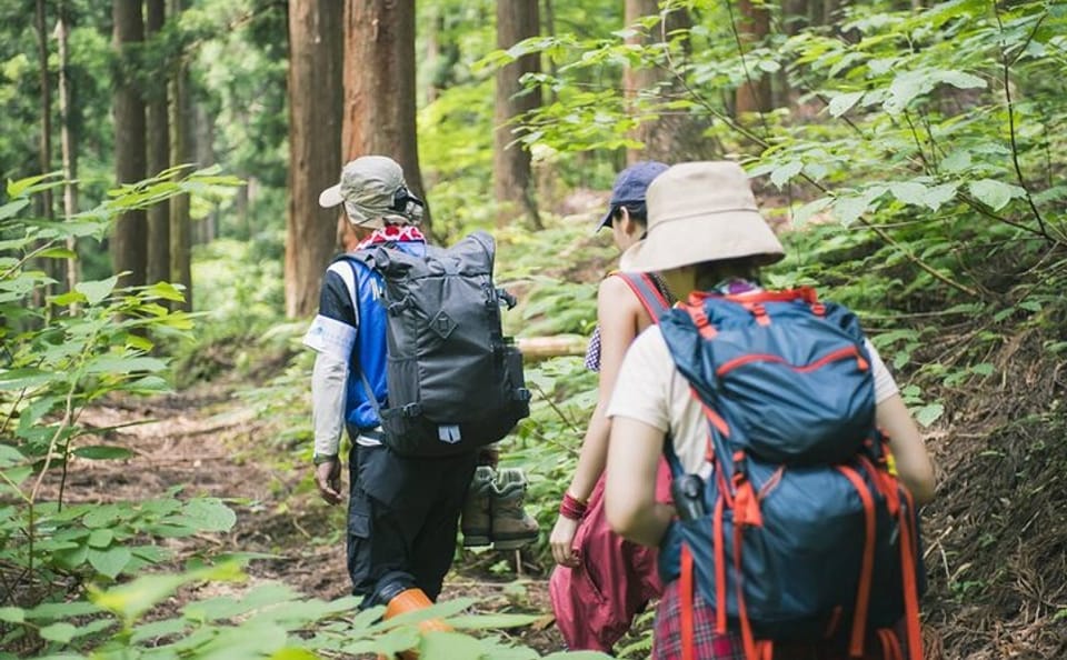 Full-Day Guided Trekking Tour in Bach Ma National Park Vietnam