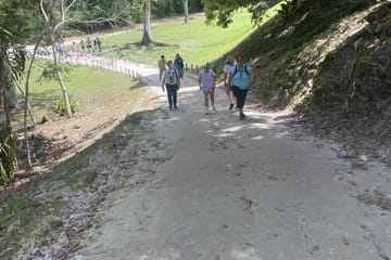 Tikal Day Tour from Placencia: Explore Ancient Maya Ruins