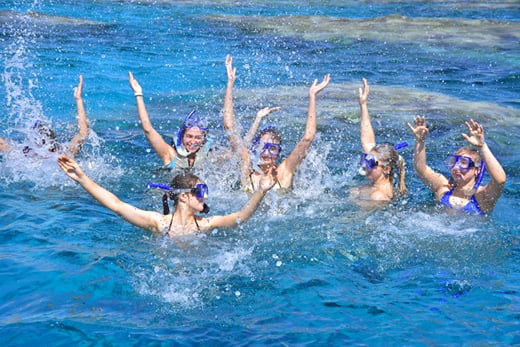 Group snorkelling at Dolphin House, Hurghada