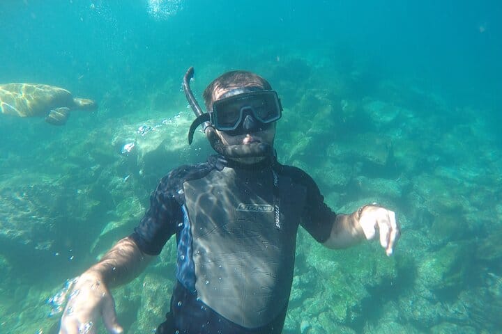 Into the Labyrinth: Snorkeling Los Tuneles on Isabela Island