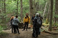 Emerald Lagoon Trekking from Ushuaia 8