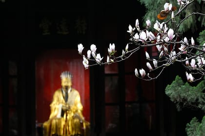 Chengdu Wuhou Memorial Hall Ticket + English Tour (Transfer Included)