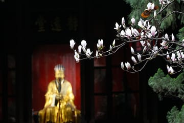 Wuhou Memorial Hall Guided Tour with Ticket in Chengdu