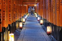 Sacred Treasure Fushimi Inari and Kiyomizu Dera Tour 2