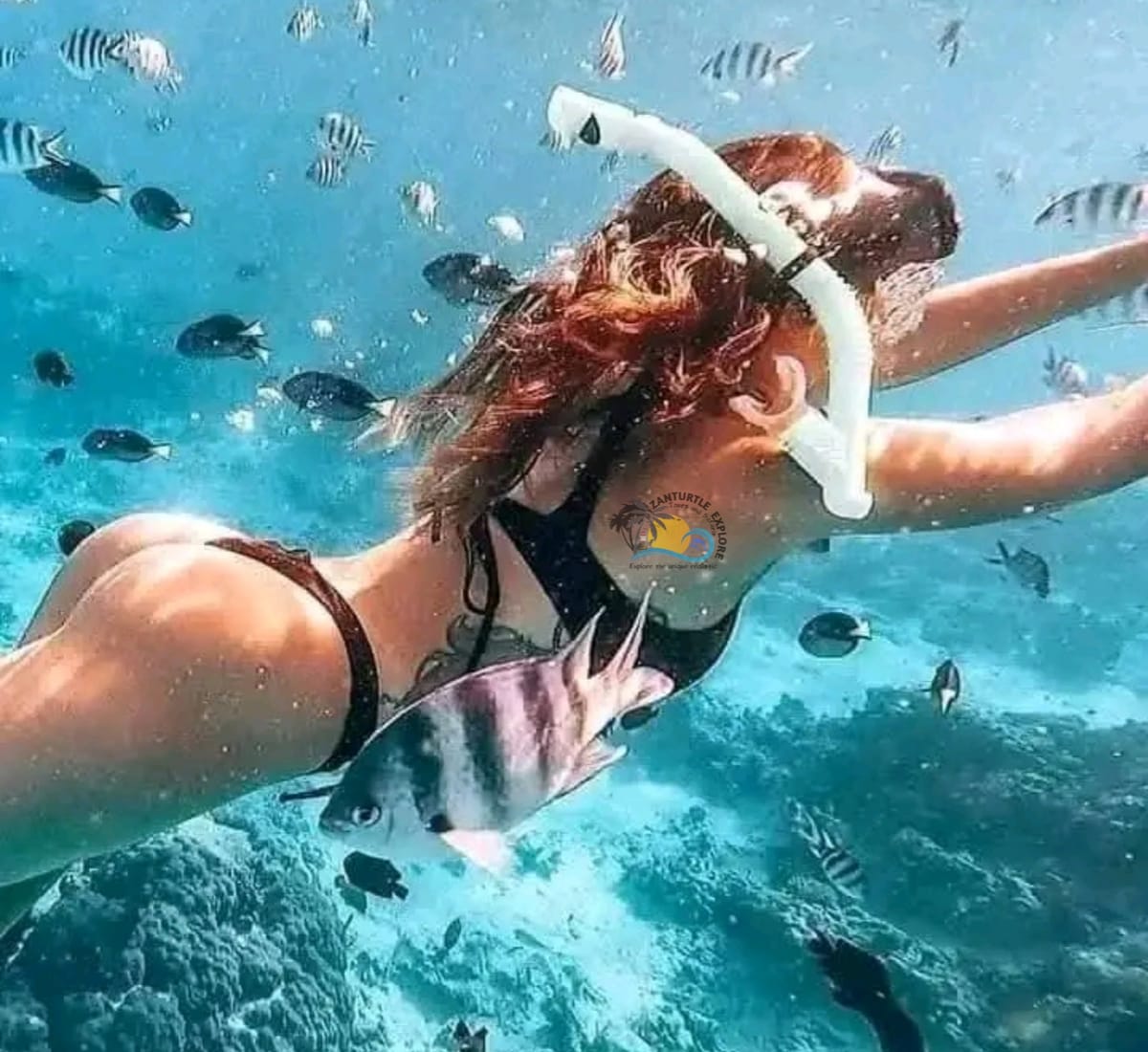 Zanzibar Maasai Culture, Jozani Forest and Salaam Cave Turtle