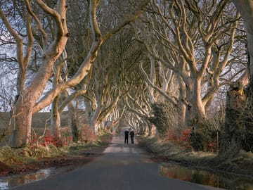Giant's Causeway Day Trip from Belfast with Scenic Stops