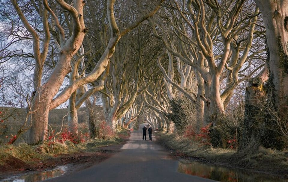 Giant's Causeway Day Trip from Belfast with Scenic Stops