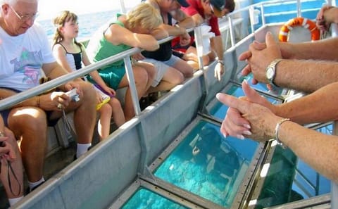 Private Glass Bottom Boat Tour in Hurghada, Egypt