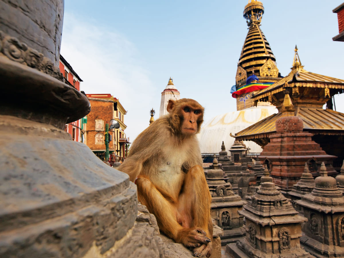 6-Nights Private Sindure VDC Tour from Kathmandu with Homestay