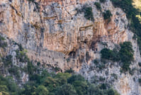 Hiking Lousios Gorge 8