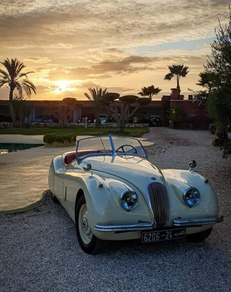 ½ Day : 1930’s Gentelman Vintage Car Ride & Camel Ride in Mythical Palm Groves | Private & Luxury 7