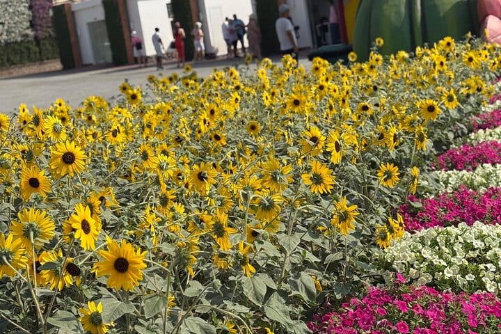 Miracle Garden Global Village Transportation from RAK 10
