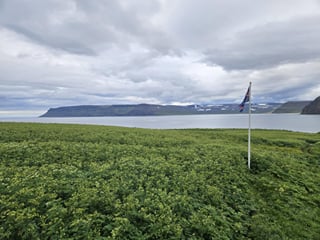 The Prime Hiking Destination - Hornstrandir hike (Hesteyri - Aðalvík), photo 6