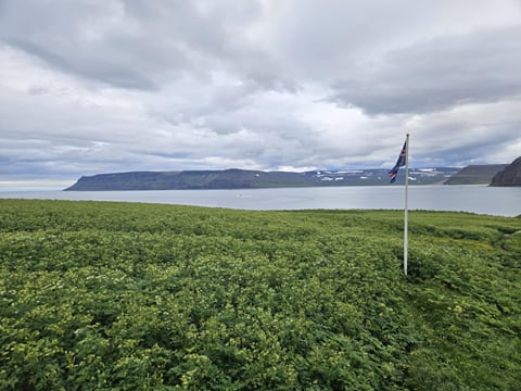 The Prime Hiking Destination - Hornstrandir hike (Hesteyri - Aðalvík), photo 6