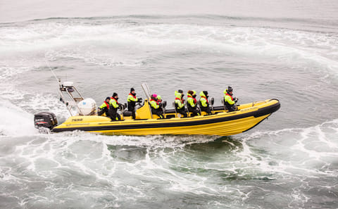 Whale Watching Adventure from Downtown Reykjavík by RIB Speedboat