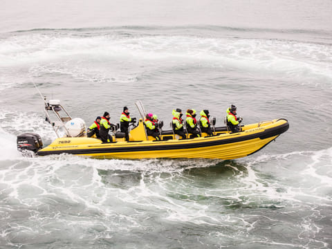 Puffin Tour by RIB Speedboat from Downtown Reykjavik, photo 3