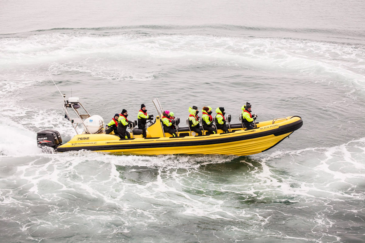 Whale  Watching from Downtown Reykjavik by RIB Speedboat  3
