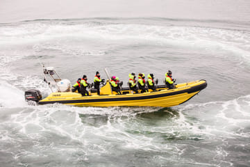 Whale Watching Adventure from Downtown Reykjavík by RIB Speedboat