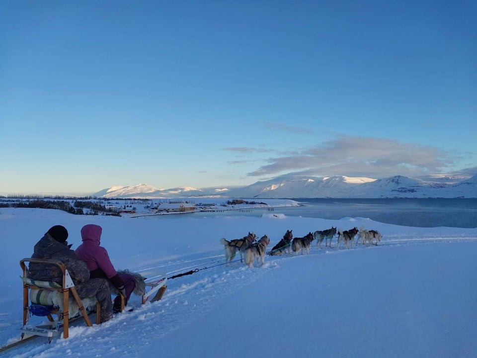 Dog Sledding in Akureyri - Private — goHusky