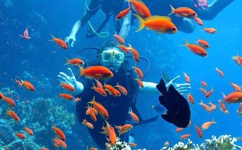 Beginner Scuba Diving Experience in Hurghada, Egypt