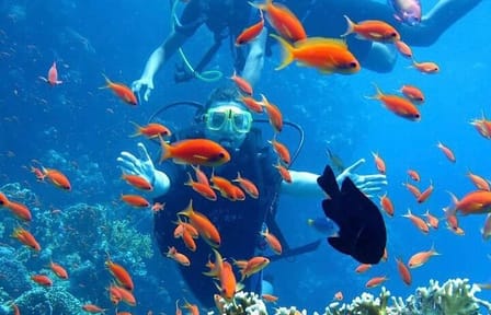 Beginner Scuba Diving Experience in Hurghada, Egypt