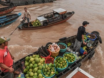 Private Mekong Delta Tour from Ho Chi Minh