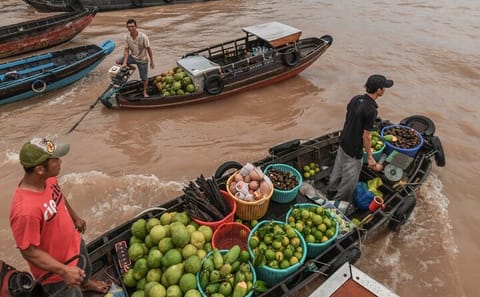 Private Mekong Delta Tour from Ho Chi Minh