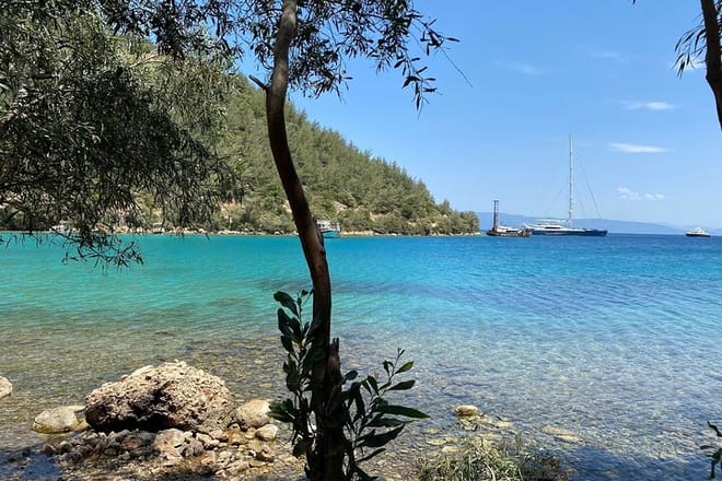 Orak Island