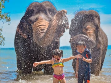 Walking Tour with Elephants at Lily Elephant Camp in Phuket