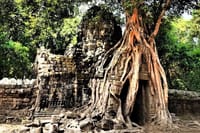 Kbal Spean Trekking Tour with Banteay Srei and Landmine Museum 10