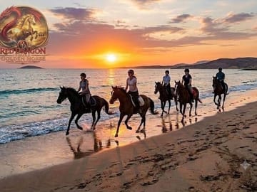Horse Riding & Camel Beach,Desert, Swim,Sunrise & Sunset-Hurghada