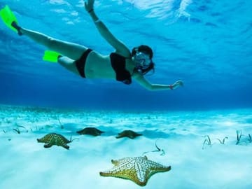 Snorkeling Tour of Mangroves and Shipwrecks in Coxen Hole