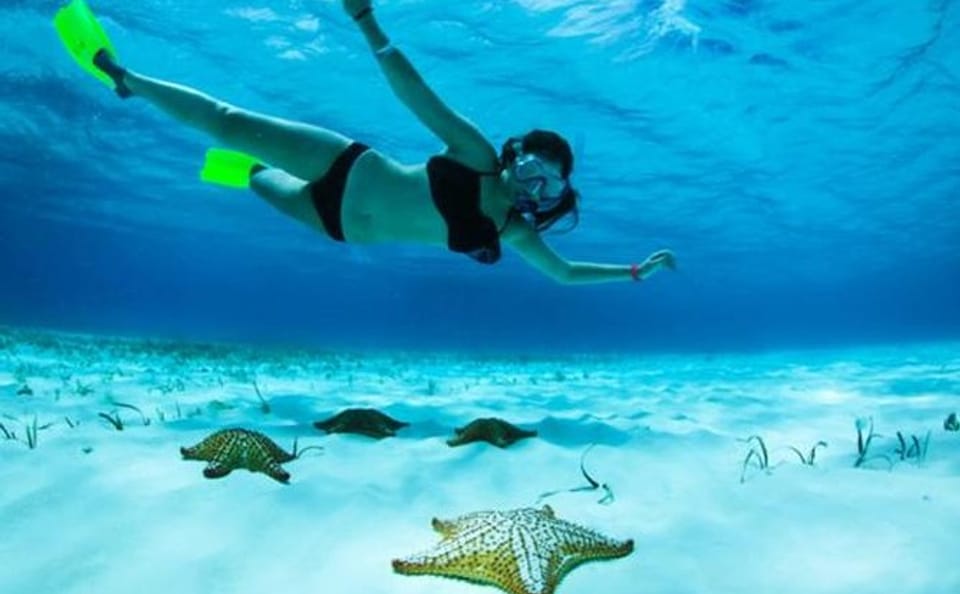 Snorkeling Tour of Mangroves and Shipwrecks in Coxen Hole