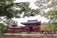 Kyoto Early Bird Tour in Uji and Fushimi Inari  1
