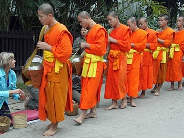 Mae Salong Morning Almsgiving Tour with Food Offering