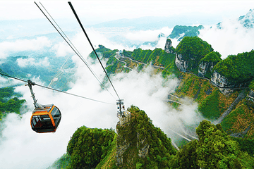 VIP Forest Park tour of Avatar Mountain in Zhangjiajie