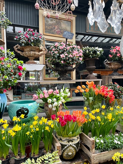 Paris: Ile De La Cité Walking Tour: Discover Paris' Birthplace