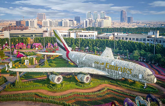 Dubai Miracle Garden & Global Village visit with Private Transfers