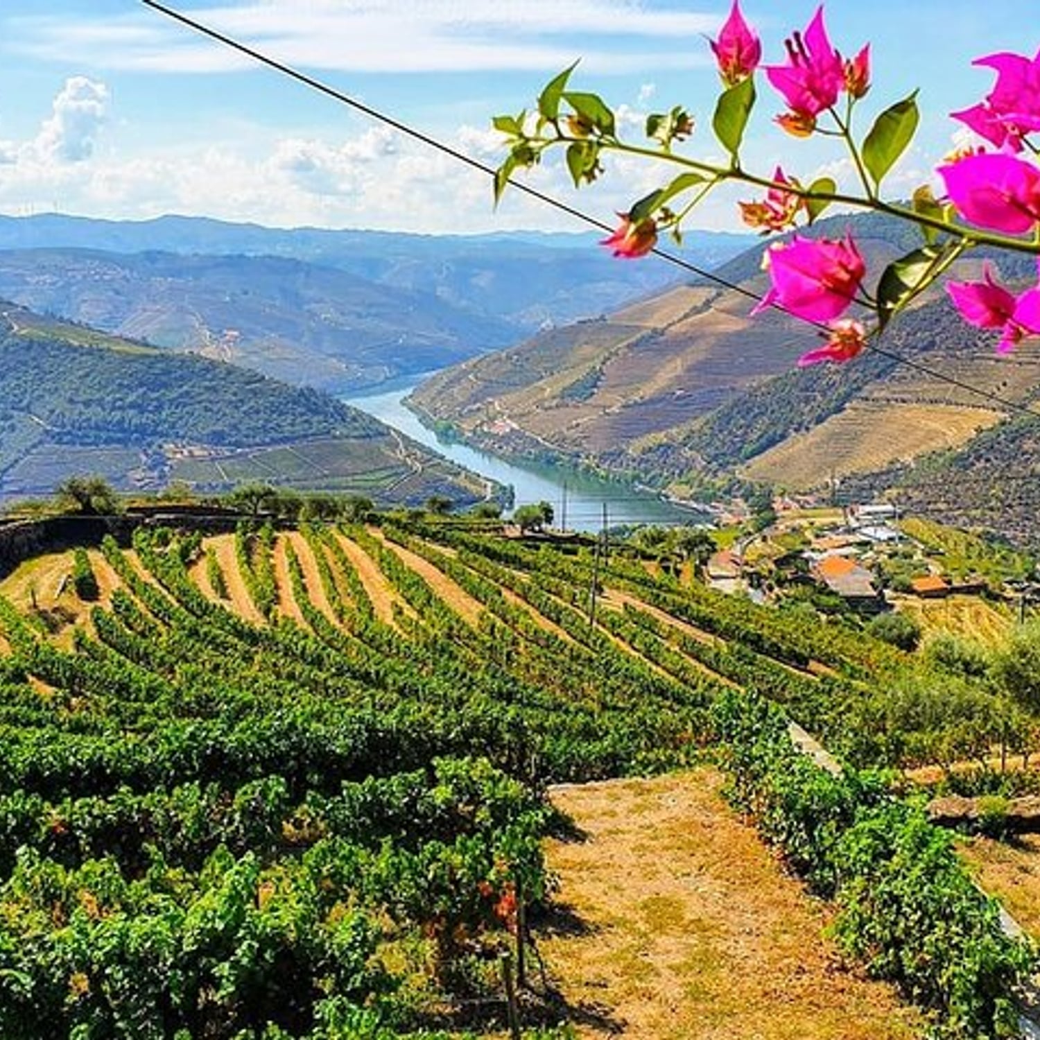 Douro: duas quintas, almoço e barco
