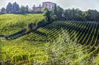 PRIVATE Full-Day Wine Experience in Chianti Classico. 2