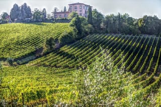 PRIVATE Full-Day Wine Experience in Chianti Classico.