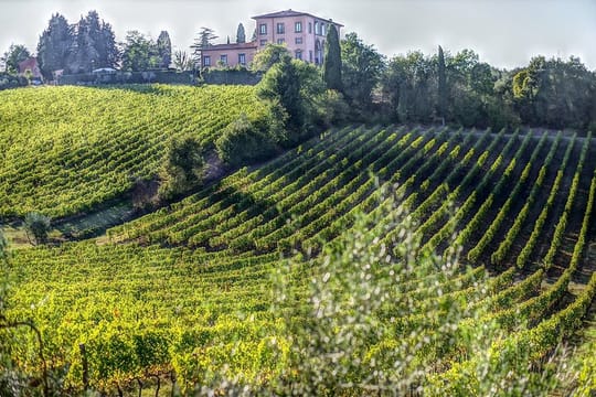 PRIVATE Full-Day Wine Experience in Chianti Classico.