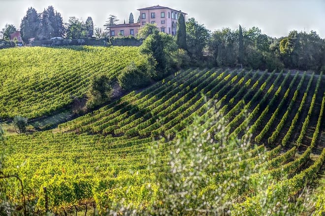 PRIVATE Full-Day Wine Experience in Chianti Classico. 2